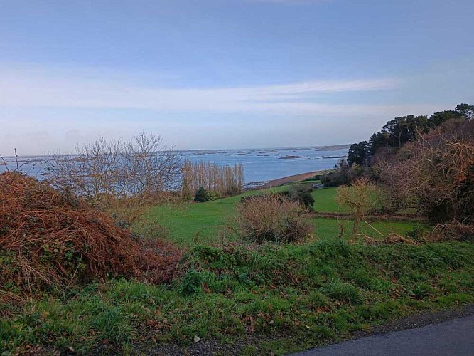 LOGUIVY - La Roche aux Oiseaux