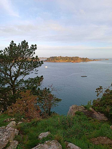 LOGUIVY - La Roche aux Oiseaux