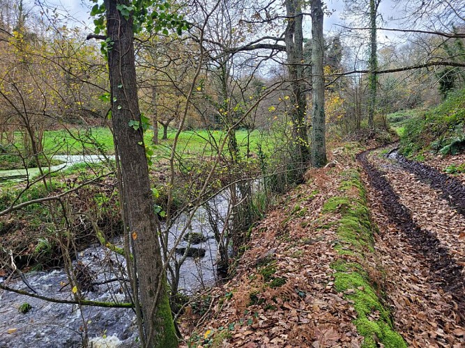 PLOUGUIEL – La Roche Jaune