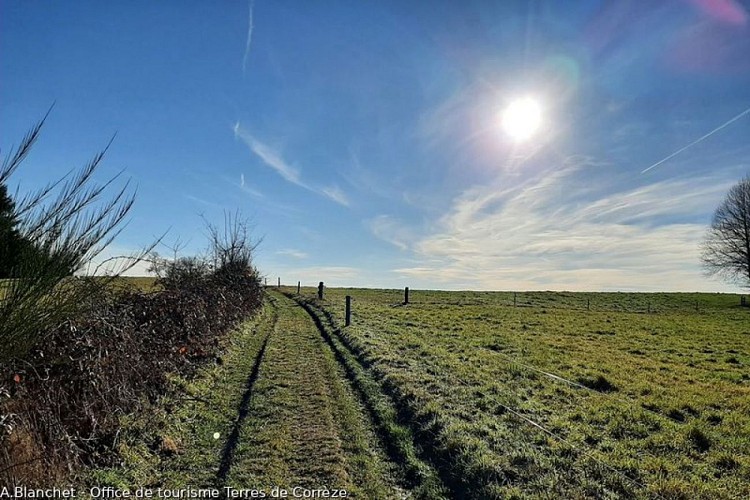 Par monts et par vaux