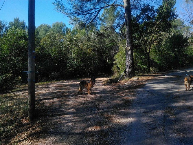 A gauche vers le bord du Golf