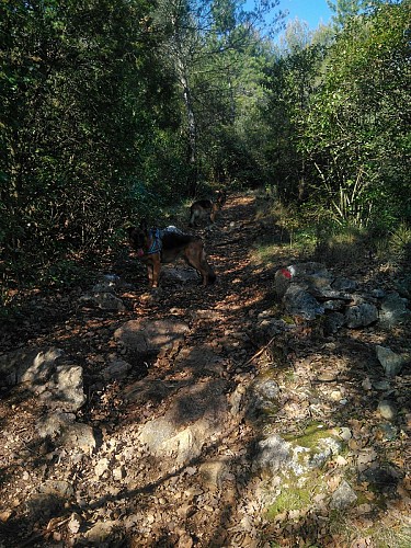 Ca commence à grimper