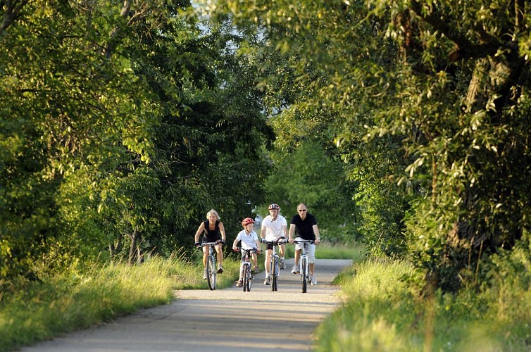 MTB-Parcours : Ried-Rundweg