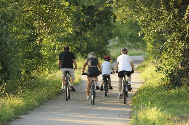 MTB-Parcours : Ried-Rundweg