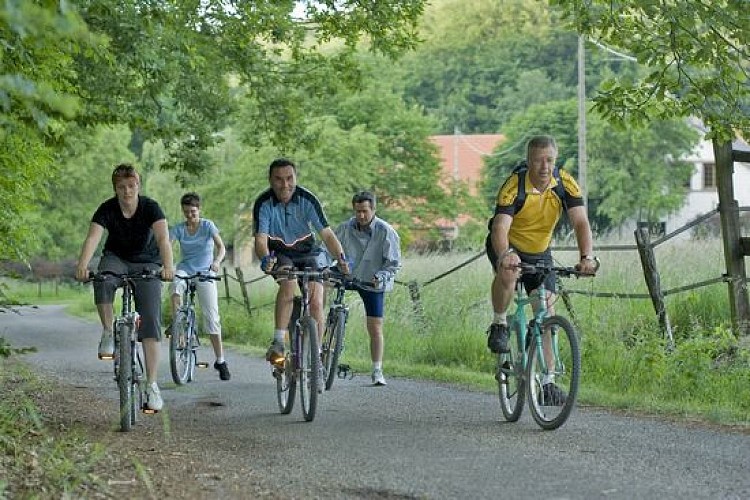 Mit dem Fahrrad durch das Krumme Elsass - grüne Schleife