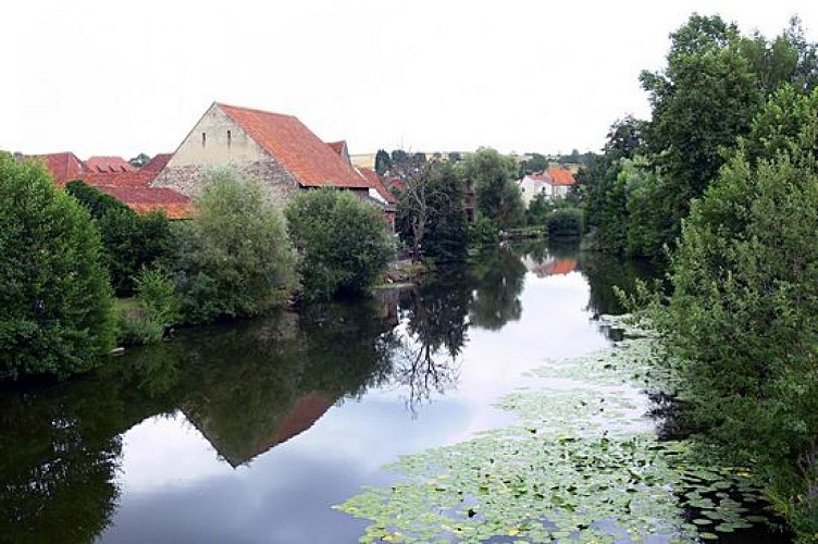 Mit dem Fahrrad durch das Krumme Elsass - grüne Schleife