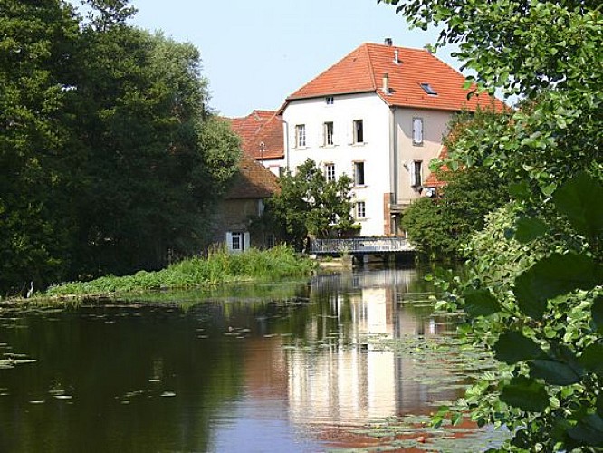 Cycling through Alsace Bossue - green trail