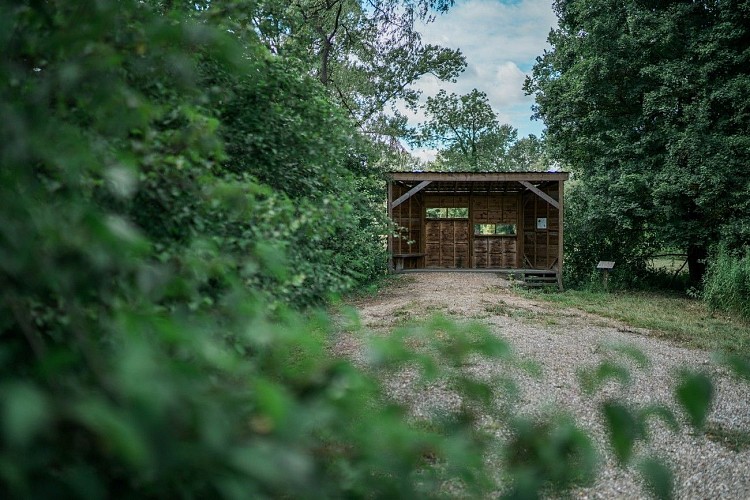 Spazierweg durch die Cité 14