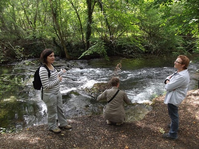 Spazierweg durch die Cité 14