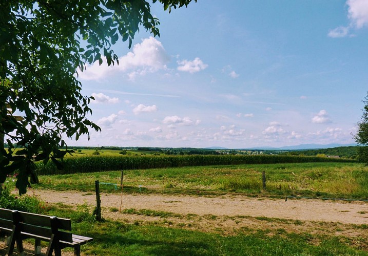 Circuit historique de Fulleren