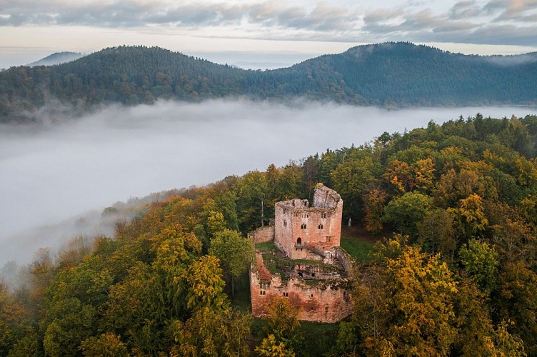 Château du Nouveau Windstein