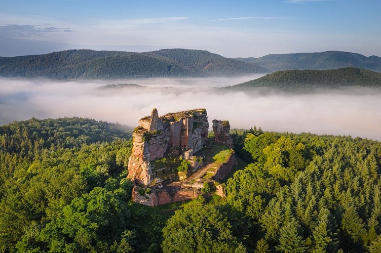 Château Fort de Fleckenstein