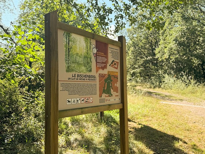 Bischenbergpfad