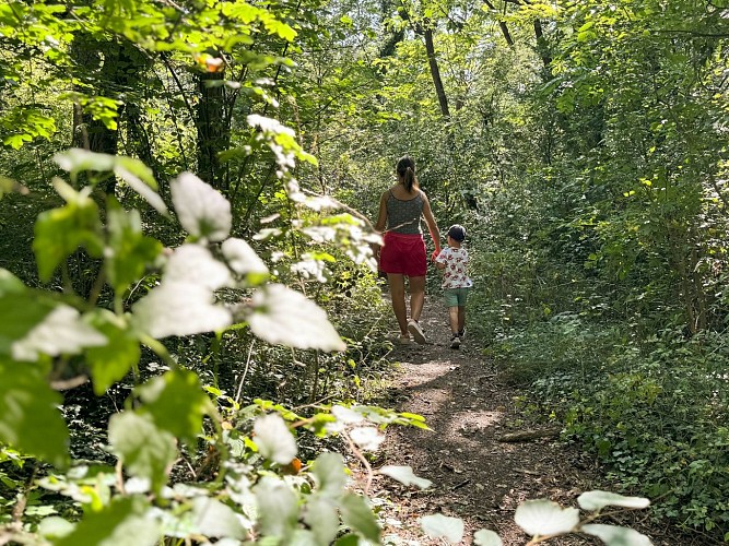 Sentier du Bischenberg