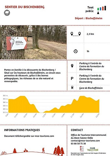Sentier du Bischenberg