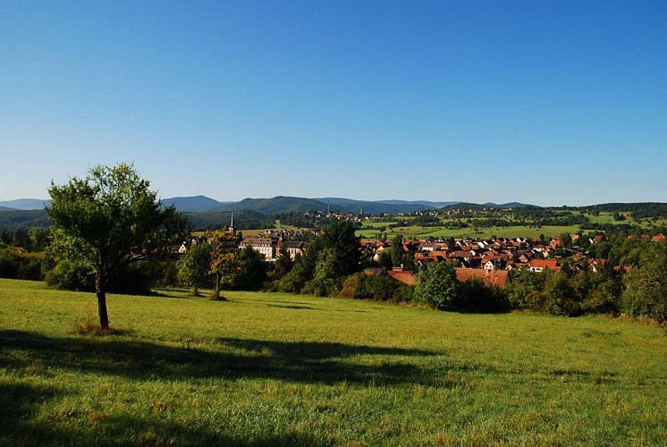 Vue du village de Still