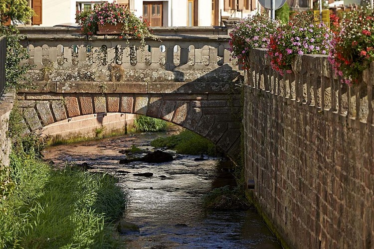 La Hasel traverse le village de Niederhaslach