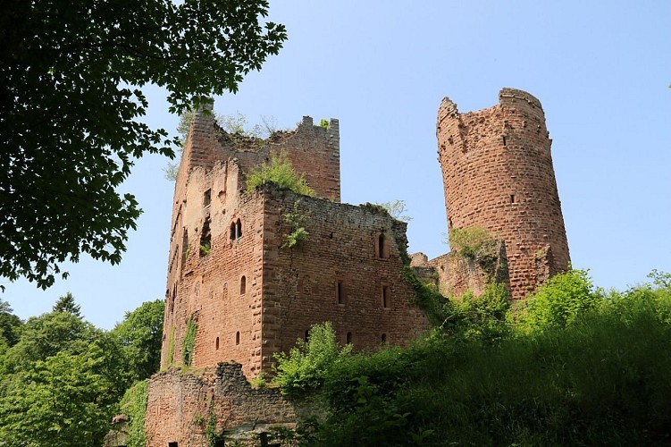 Circuit à la découverte des châteaux d'Ottrott