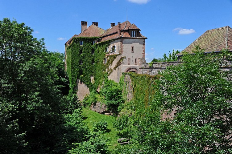 Château de la Petite Pierre