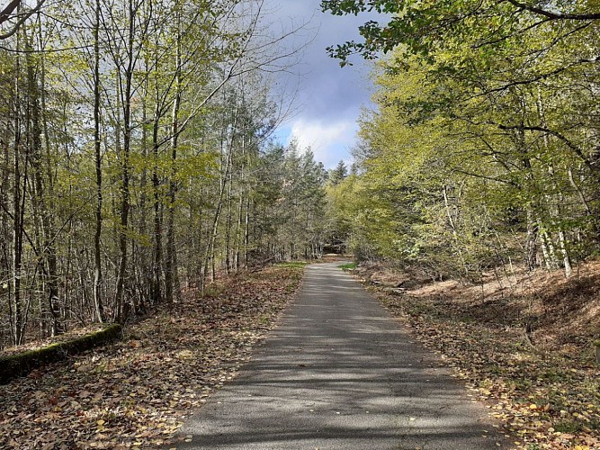 La Route du Sel en direction de Thanvillé