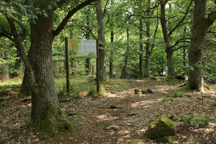 "Sentier des demoiselles de pierre" Pfad