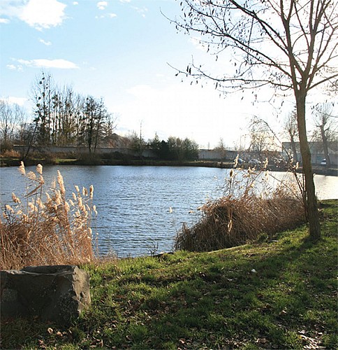 Le sentier de la gravière