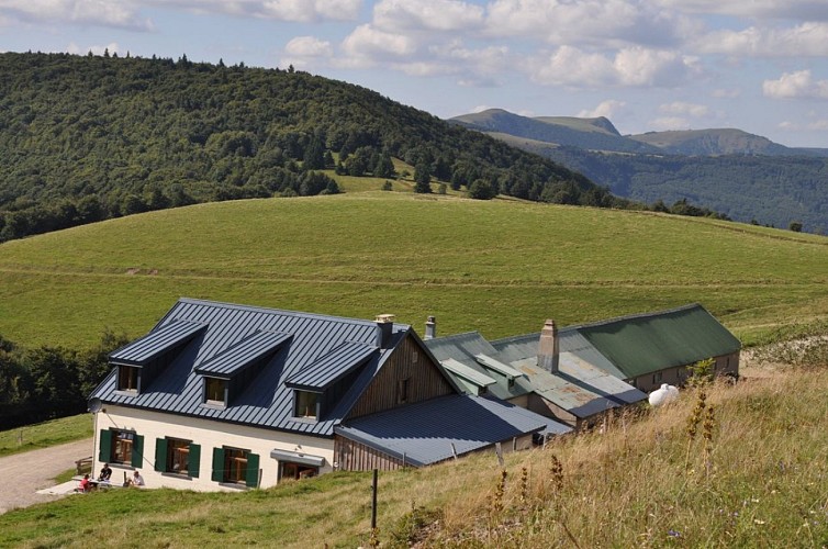Balade ferme-auberge Hahnenbrunnen : entre grande gentiane et arnica