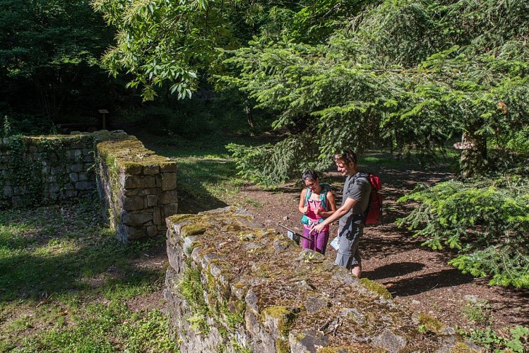 Randonneurs aux ruines du couvent du Schwartzenthann à Wintzfelden