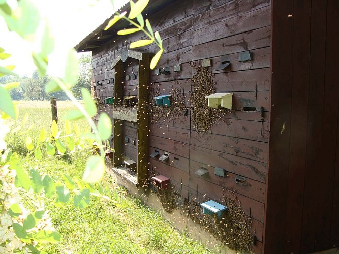 Miellerie Durner à Dinsheim-sur-Bruche