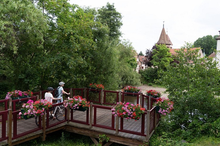 Vue sur la chapelle Saint-Ulrich d'Avolsheim