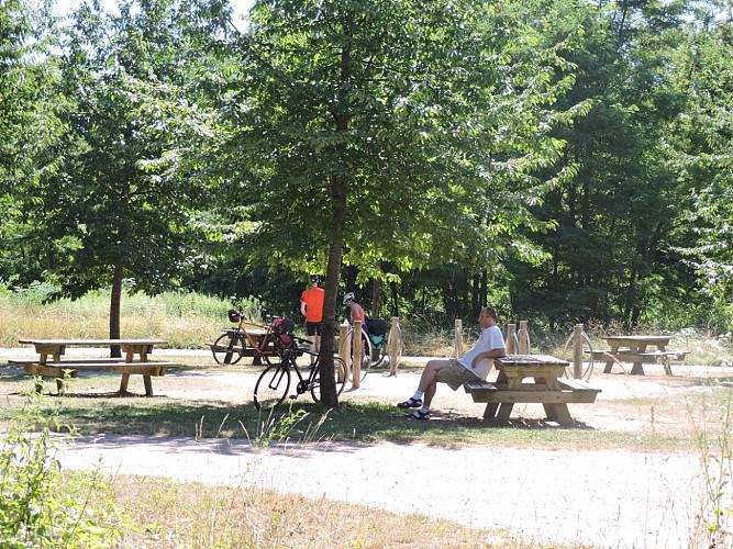 Aire de pique-nique à Soultz-les-Bains