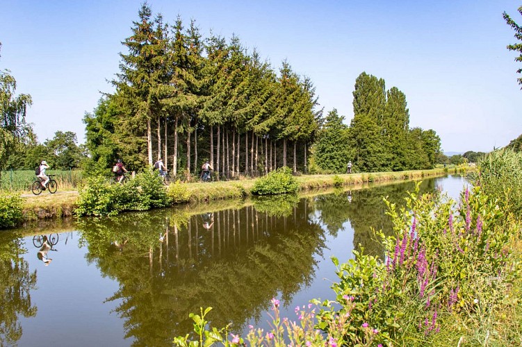 Radweg Canal du Rhône au Rhin (Südlicher Zweig)