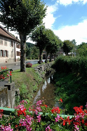 Radwandertour H01 : Durch die typischen Mittelgebirgsdörfer des Promont