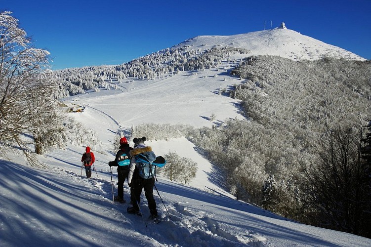 Wanderung : Der Grand Ballon, den höchsten Gipfel der Vogesen