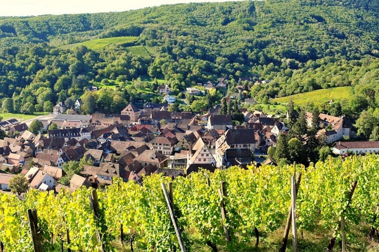 Vue sur Andlau