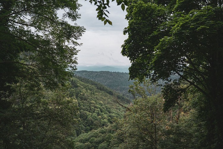 Wanderung Zu den Riesen des Nidecks