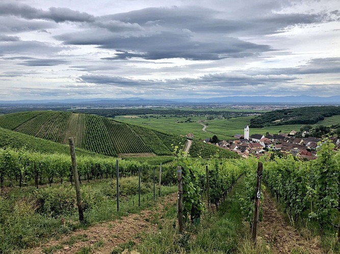 Circuit VTT 13 - Les hauteurs de Katzenthal