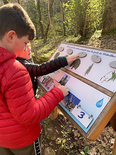 Sentier découverte Nature et eau à Wattwiller