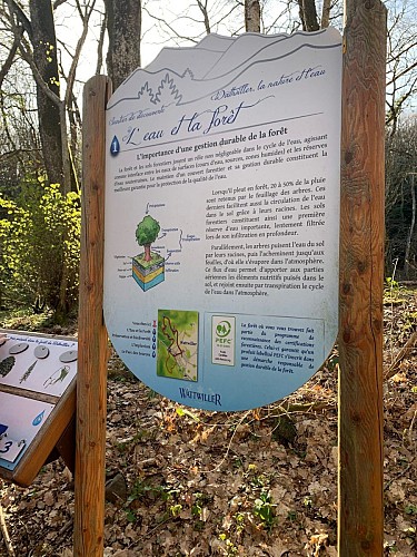 Sentier découverte Nature et eau à Wattwiller