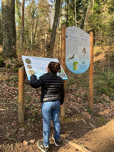 Sentier découverte Nature et eau à Wattwiller