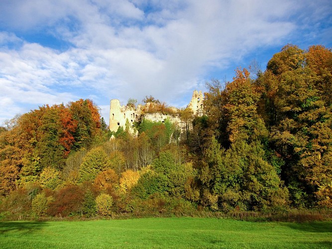 Ruines du Château du Morimont, près d'Oberlarg