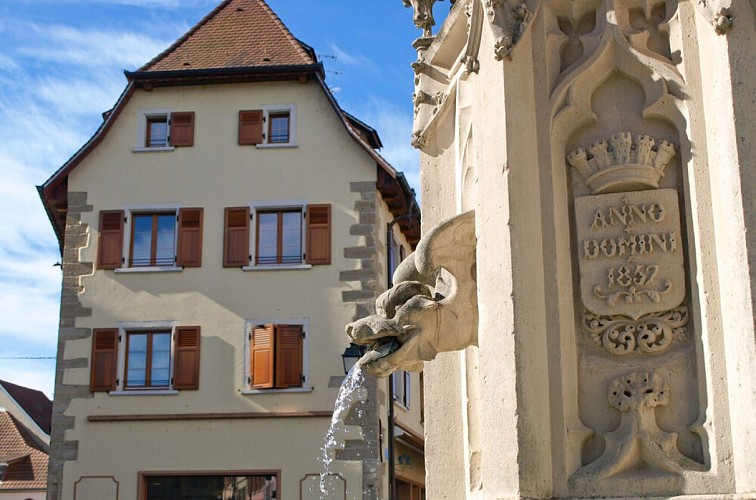 Ville d'Altkirch (3)