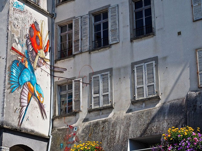 Ville d'Altkirch (5)