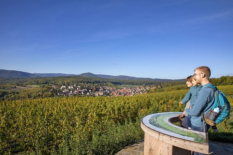 Hiking tour - Between vineyards and orchards