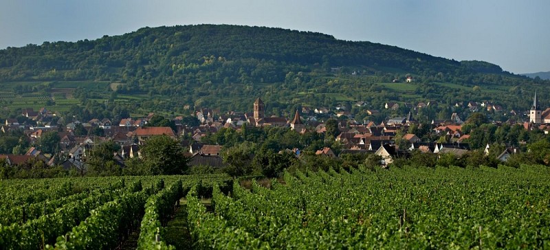 Vue sur la cité romane de Rosheim