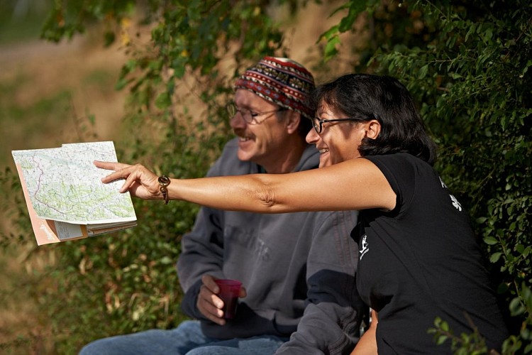 Hiking tour - Between vineyards and orchards