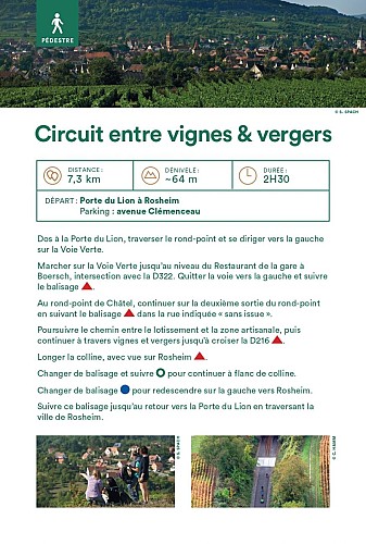 Circuit entre vignes et vergers