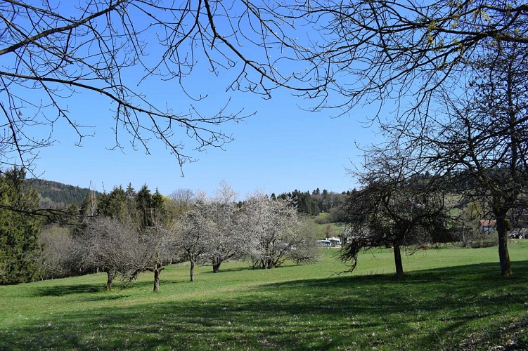 Hiking trail B19: Over the water