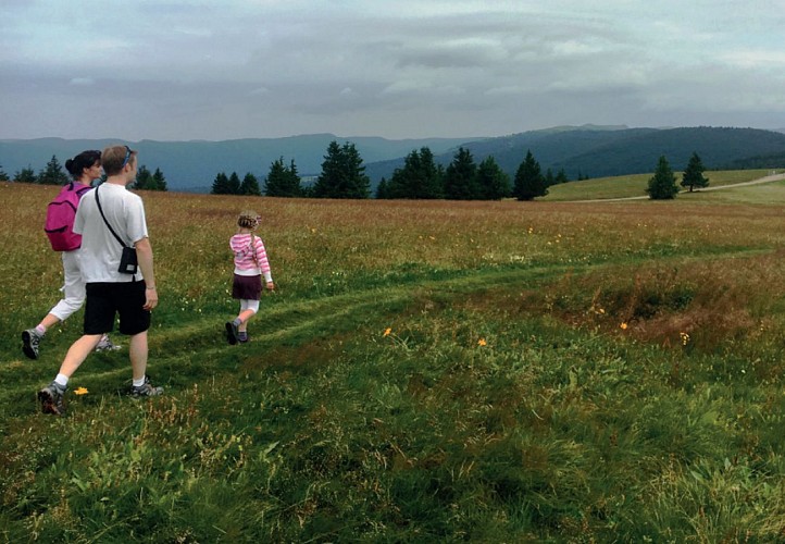 Family Walks: Markstein and the Peak Route