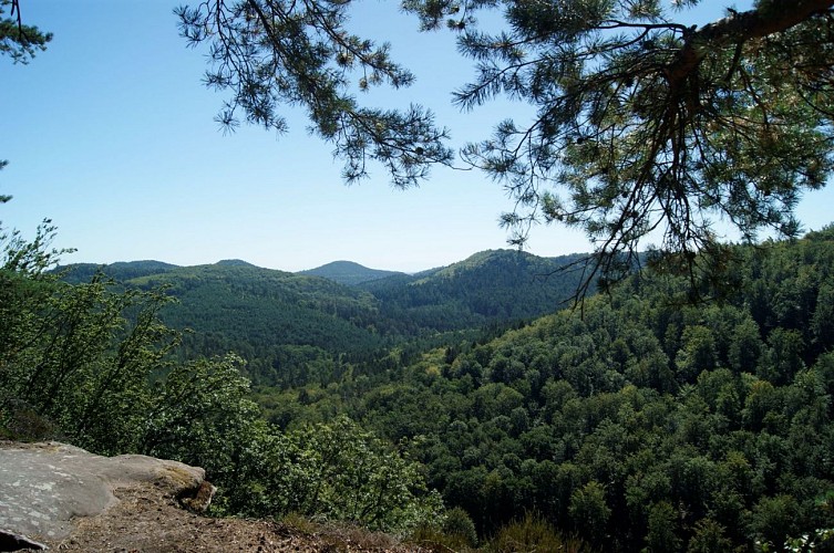 Vue depuis le rocher du Loosthal
